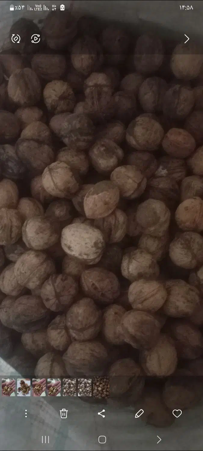 غذا|حراج|پیر سلیمان, |دیوار