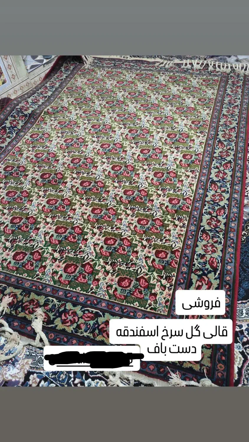 دوعدد قالی گل سرخ اسفندقه|فرش|اسفندقه, |دیوار