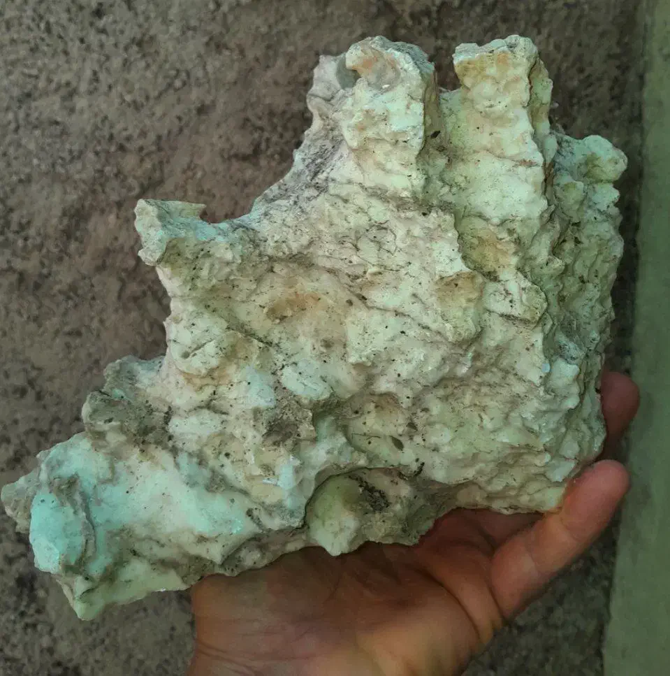 سنگ آکواریوم|ماهی|ایلام, |دیوار