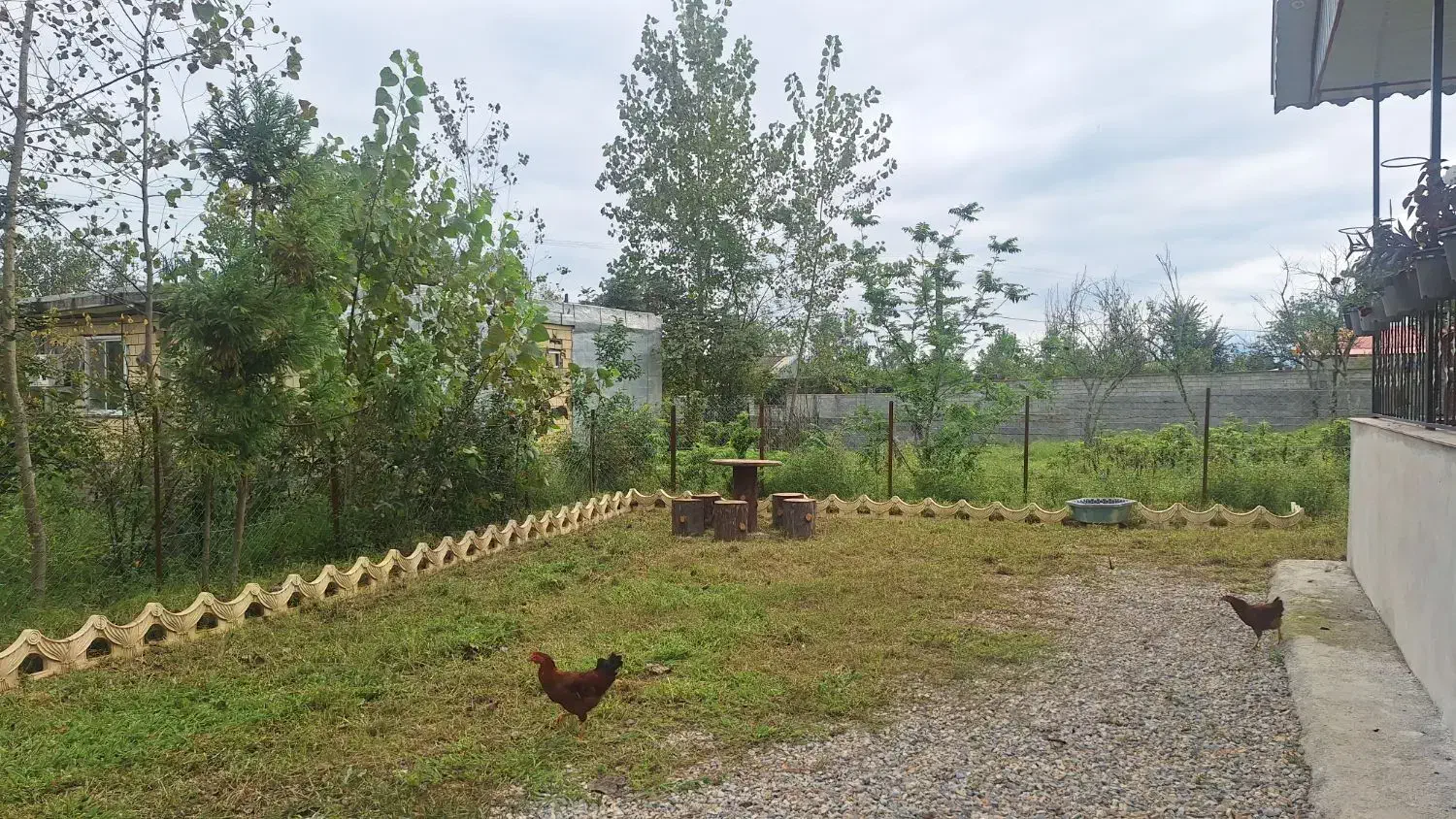 ویلایی ۳۰۰متر/بنا ۸۰متری/تکخوابه/ در تالش|فروش خانه و ویلا|تالش, طولارود|دیوار