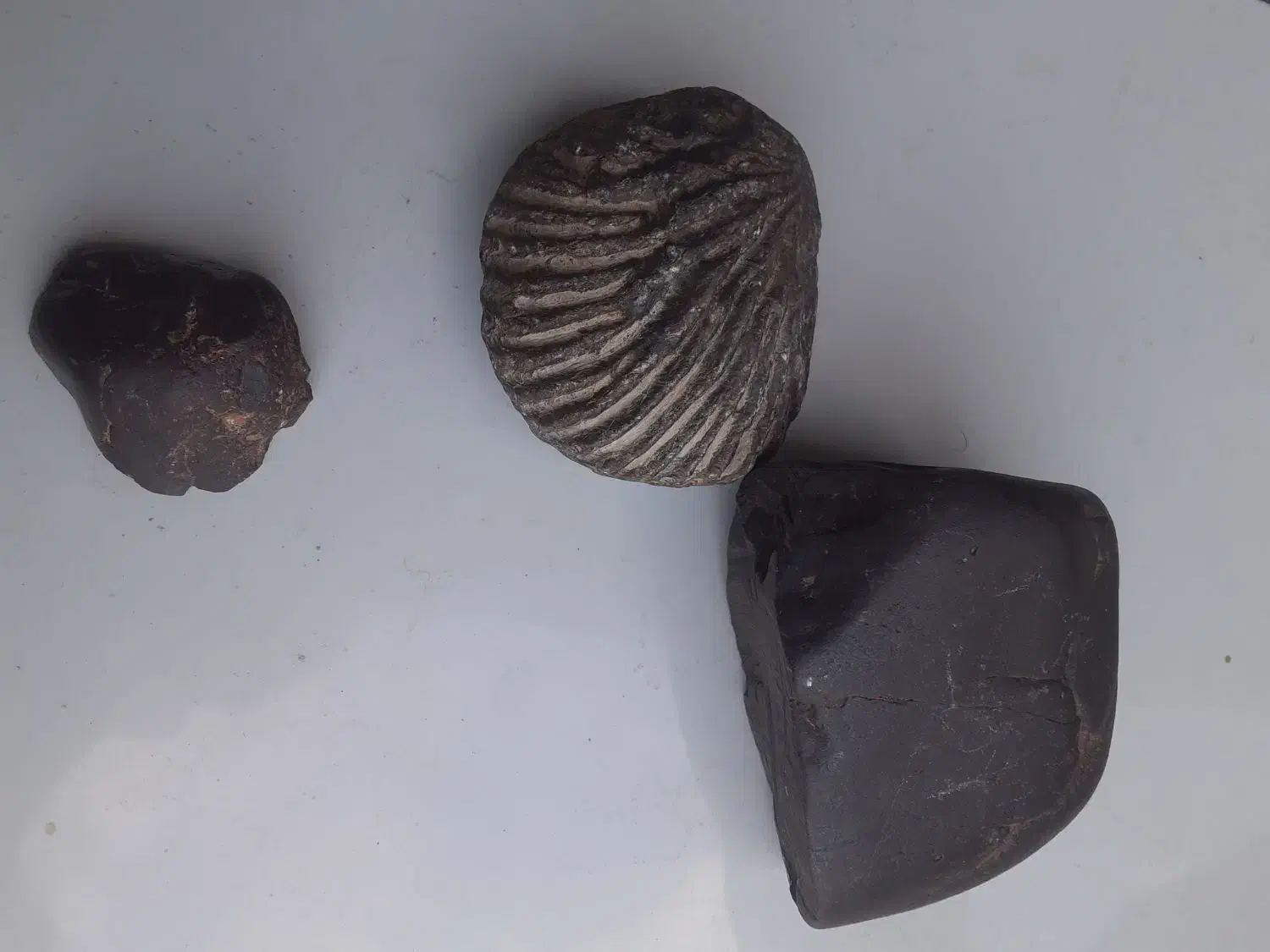 فروش سنگ کلکسیونی|کلکسیون اشیاء عتیقه|اصفهان, ملک‌شهر|دیوار