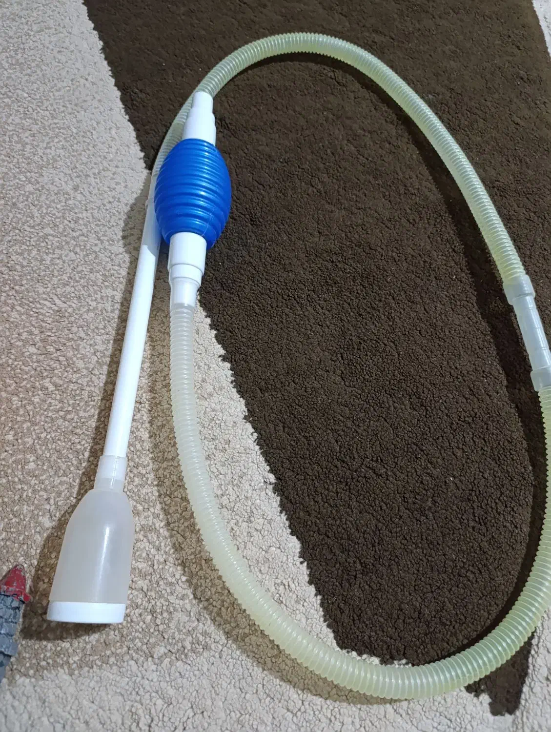 لوازم آکواریوم|ماهی|گرگان, |دیوار