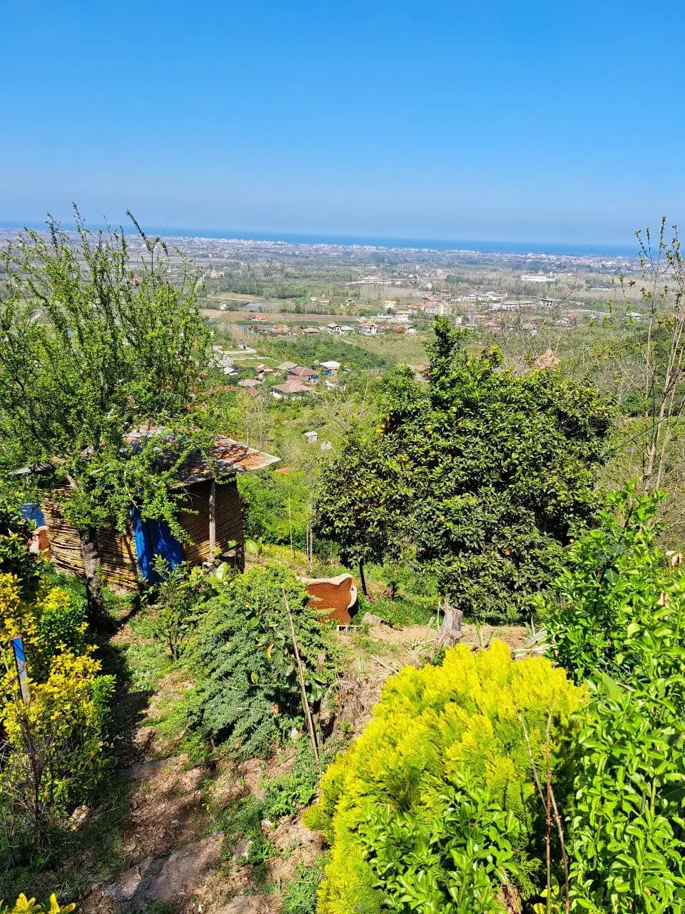 ۳قطعه زمین ۶۰۰متری کنار هم بر جاده،قطعه ای ۱۲۰۰|فروش زمین و ملک کلنگی|واجارگاه, |دیوار