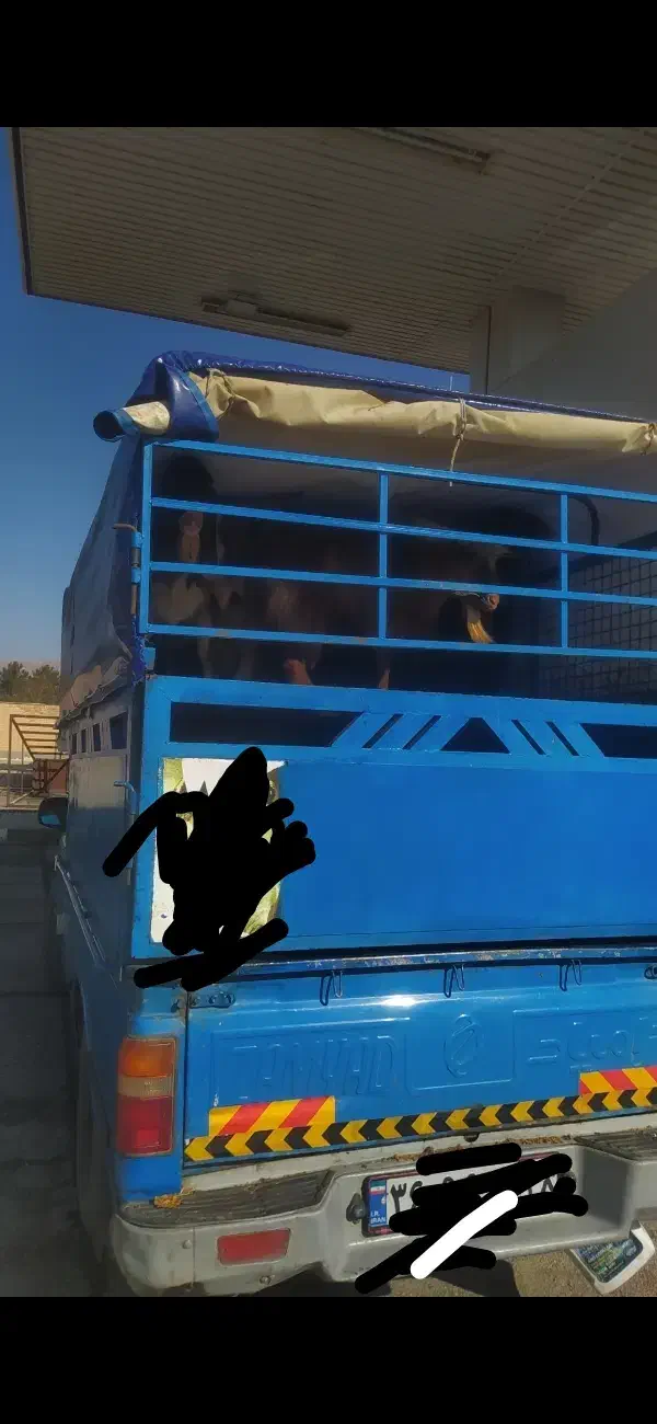 حمل گوسفند نیسان دوطبقه|خدمات حمل و نقل|نهاوند, |دیوار