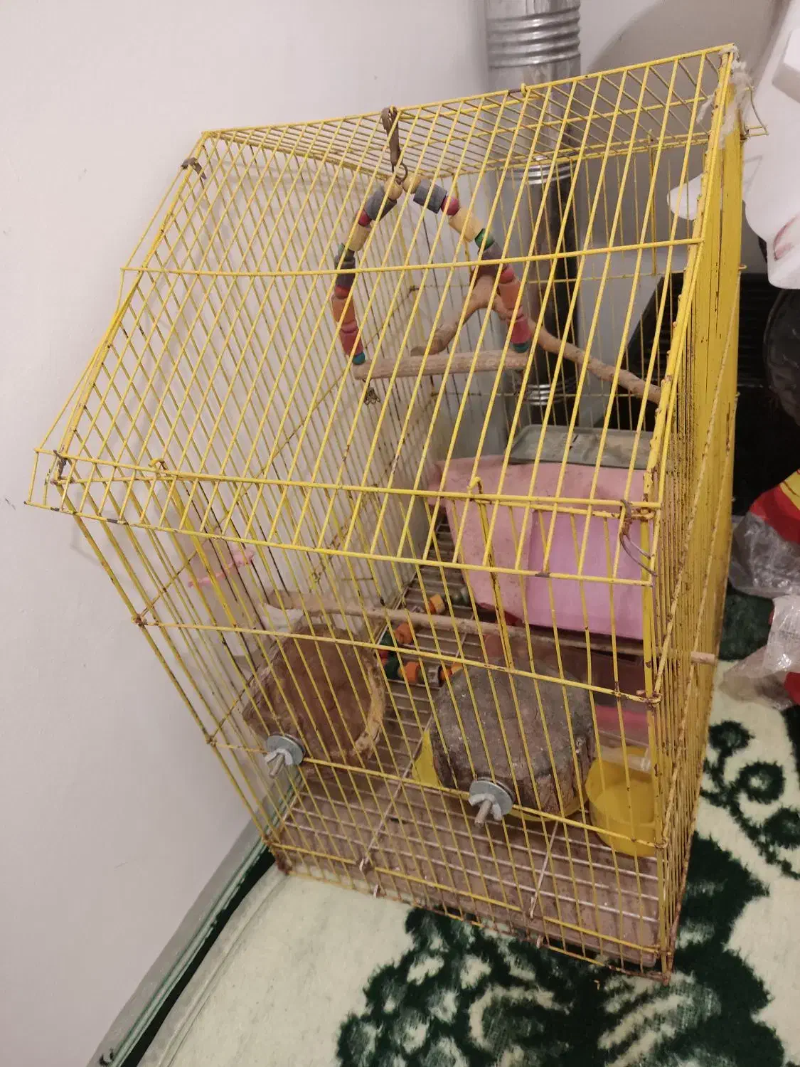 قفس پرنده|لوازم جانبی حیوانات|پردیس, فاز ۱۱|دیوار