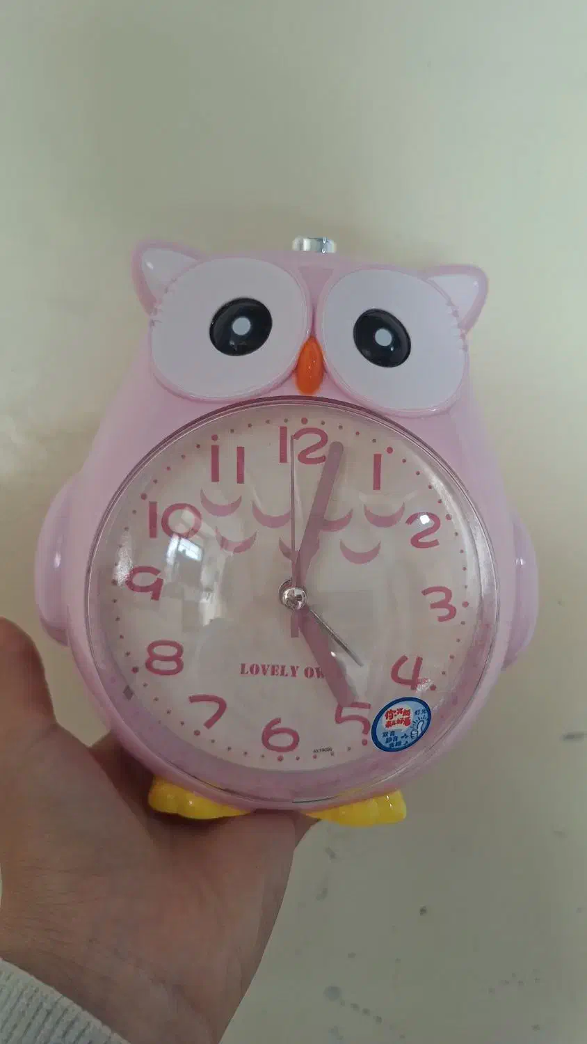 ساعت رومیزی جغد|ساعت دیواری و تزئینی|مسجد سلیمان, |دیوار