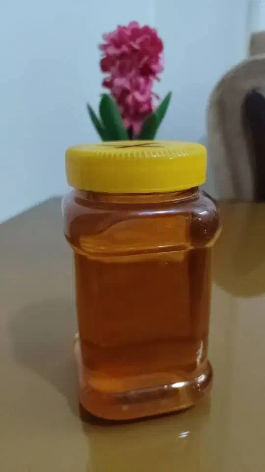عسل  پر از انرژی|خوردنی و آشامیدنی|تهران, نیکنام|دیوار