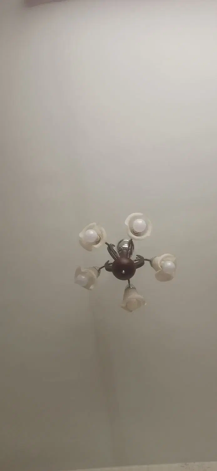 لوستر|لوستر و چراغ آویز|اراک, |دیوار