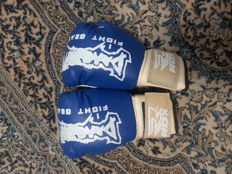 دستکش بوکس|تجهیزات ورزشی|رشت, رشتیان|دیوار