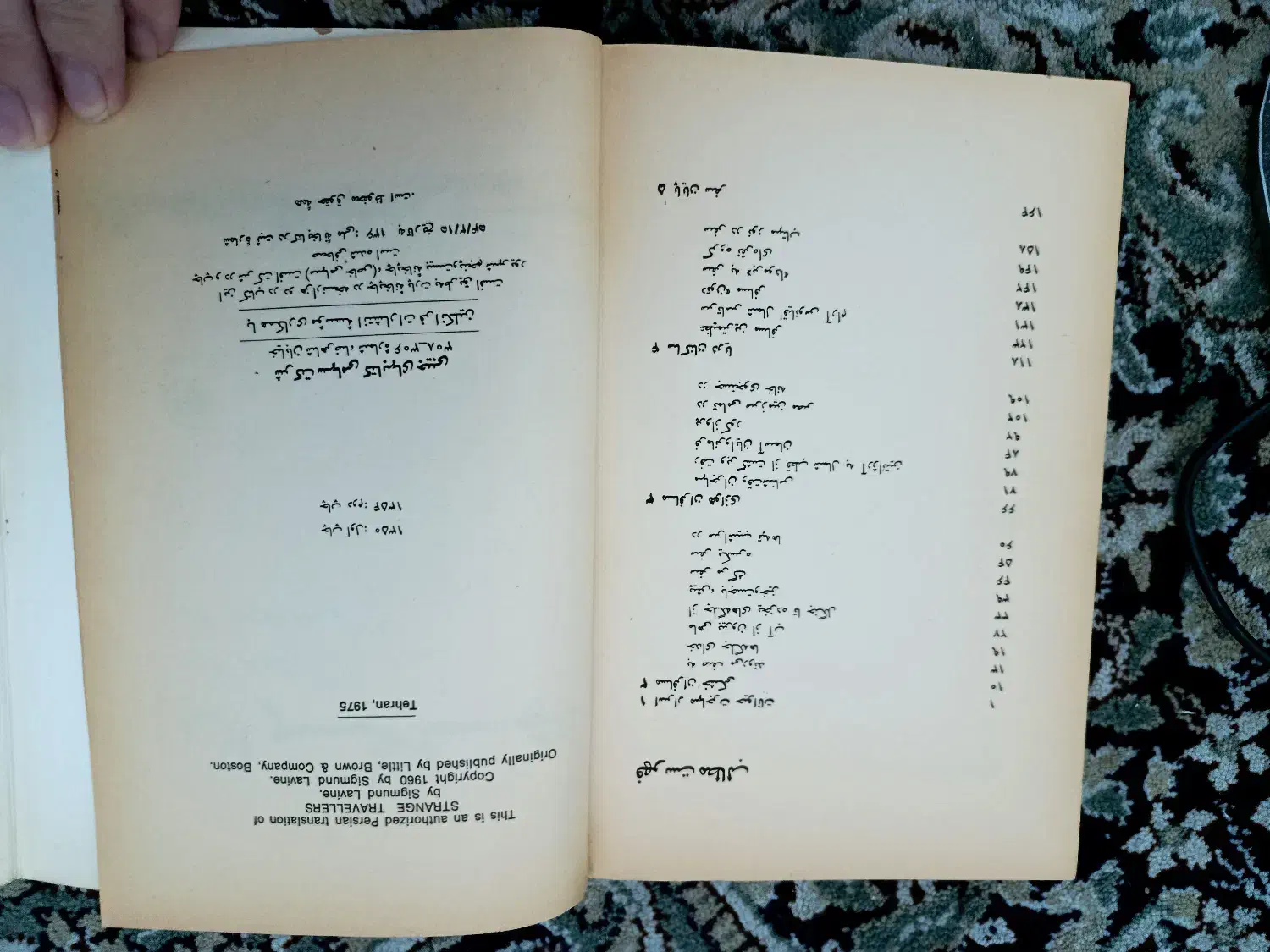 کتاب مهاجران زیگموند لاوین و آناکارنینا جلد سخت|کتاب و مجله ادبی|تهران, آبشار|دیوار