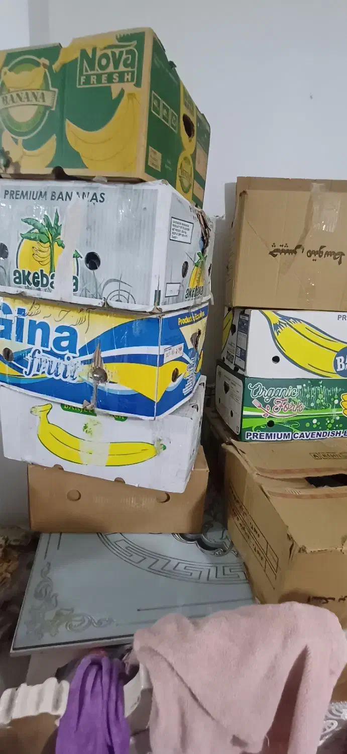 کارتن موز سالم دونه ای ۱۰ هزار|حراج|نسیم‌شهر, |دیوار