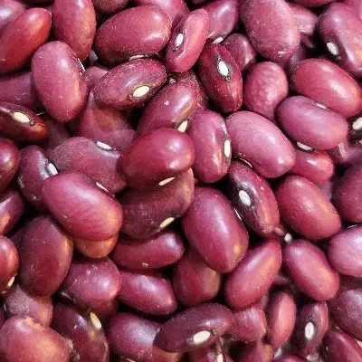 لوبیا بوجاری شده درجه ۱|خوردنی و آشامیدنی|شاهنجرین, |دیوار