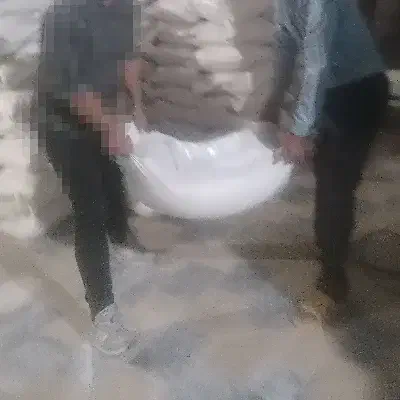 برنج دورود لرستان|خوردنی و آشامیدنی|فردیس, شهرک شهید حسینی|دیوار