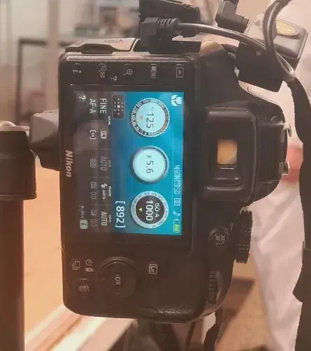 D3300|دوربین عکاسی و فیلم‌برداری|شاهرود, |دیوار