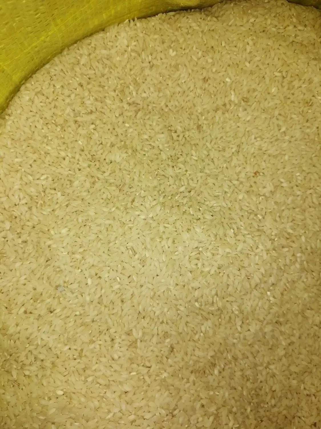 برنج چمپا درجه یک|خوردنی و آشامیدنی|بندر ماهشهر, |دیوار