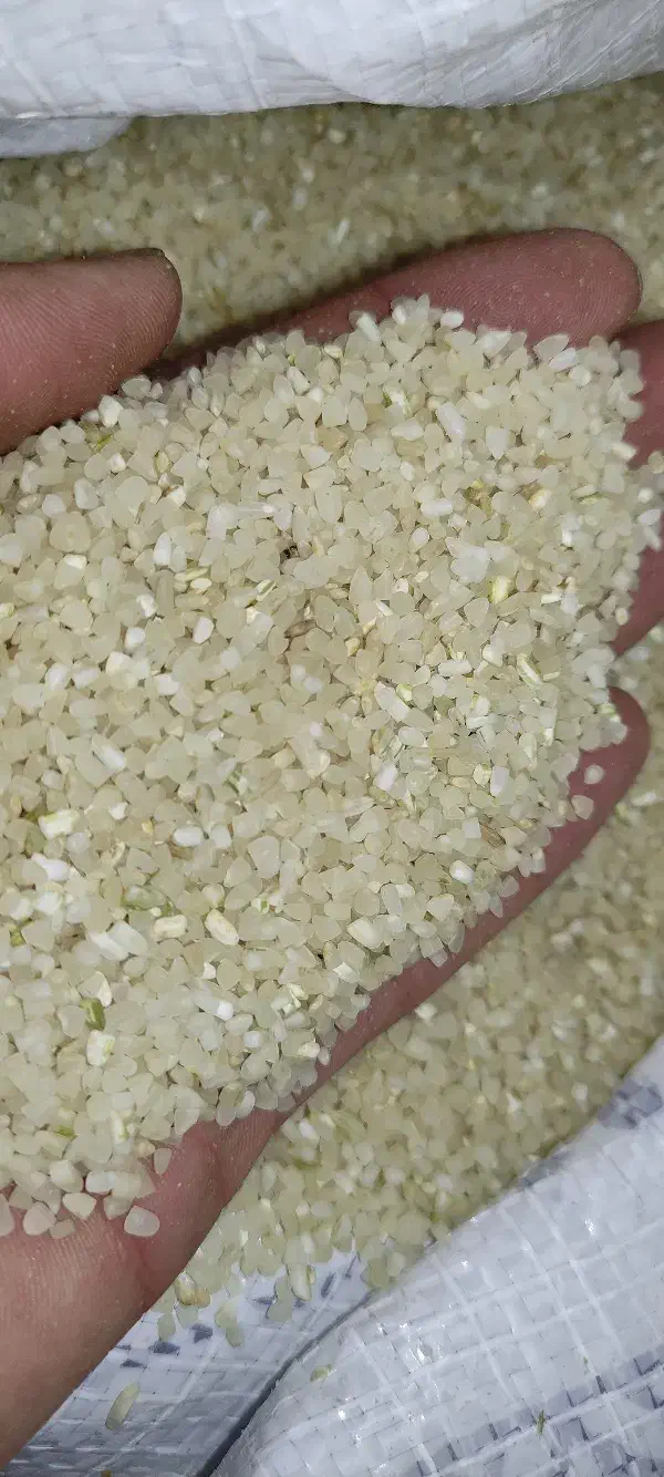 نیم دانه کامفیروزی|خوردنی و آشامیدنی|کامفیروز, |دیوار