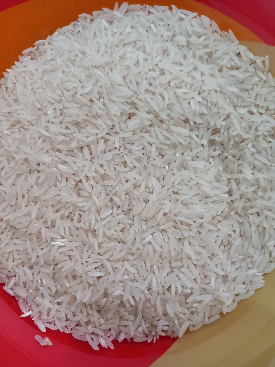 برنج فجر سوزنی سورت شده|خوردنی و آشامیدنی|گرگان, |دیوار