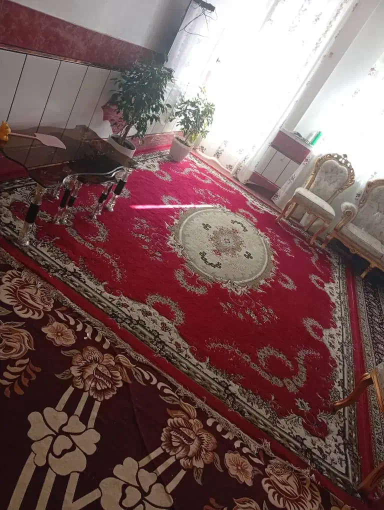 دنبال تخته فرش 12 متری میگردی. به من پیام بده|فرش|قهدریجان, |دیوار