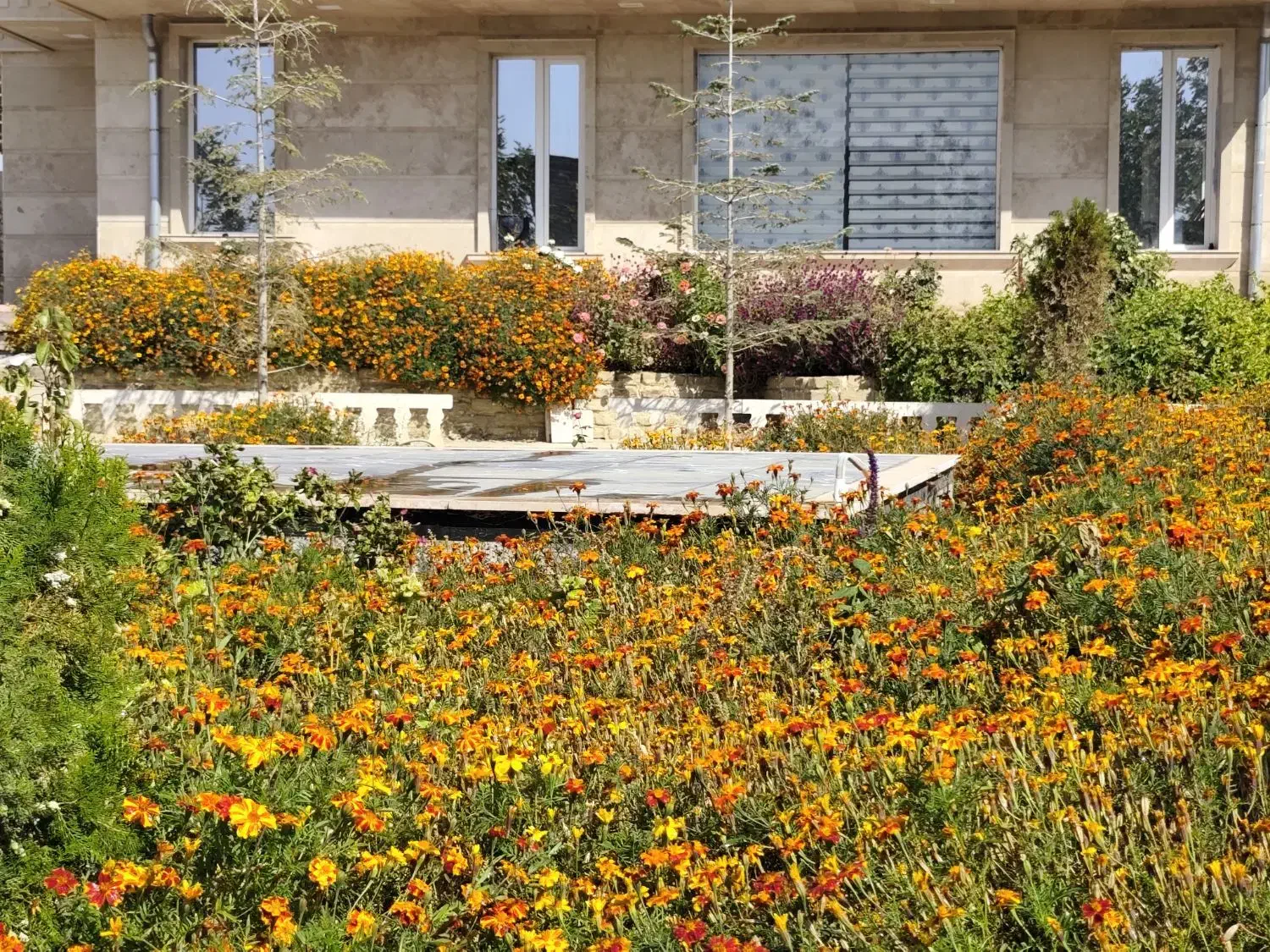 اجاره ویلا|اجارهٔ کوتاهمدت ویلا و باغ|سلماس, |دیوار