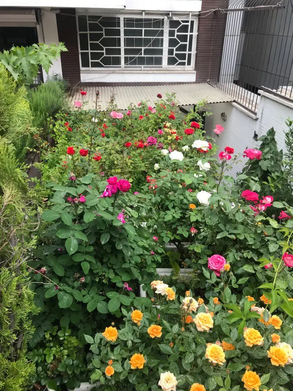 اجاره اتاق ِ مبله ِسرایداری در قبال نظافت