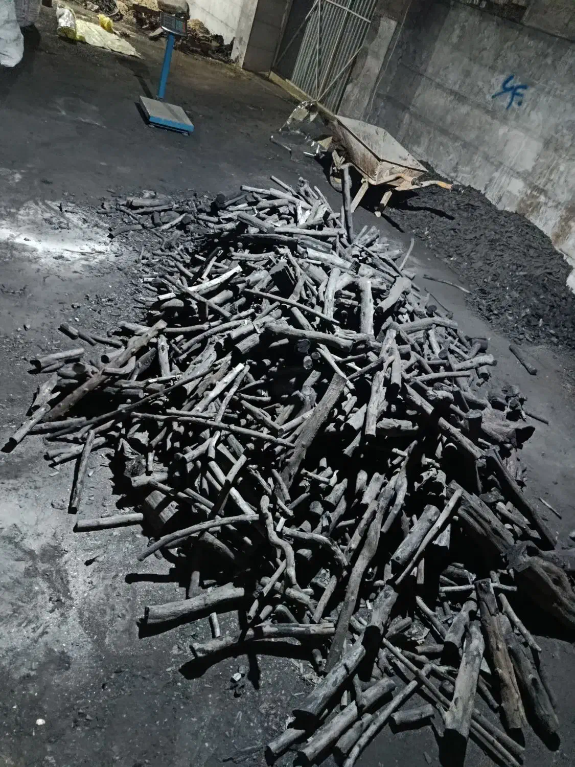 مرغ عشق|پرنده|خرمشهر, |دیوار