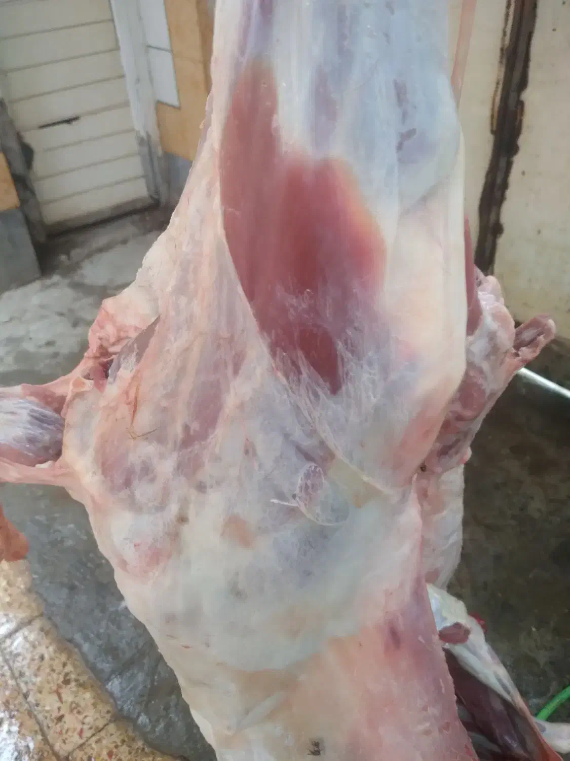 گوست گوسفندی و بره|خوردنی و آشامیدنی|کارون, |دیوار