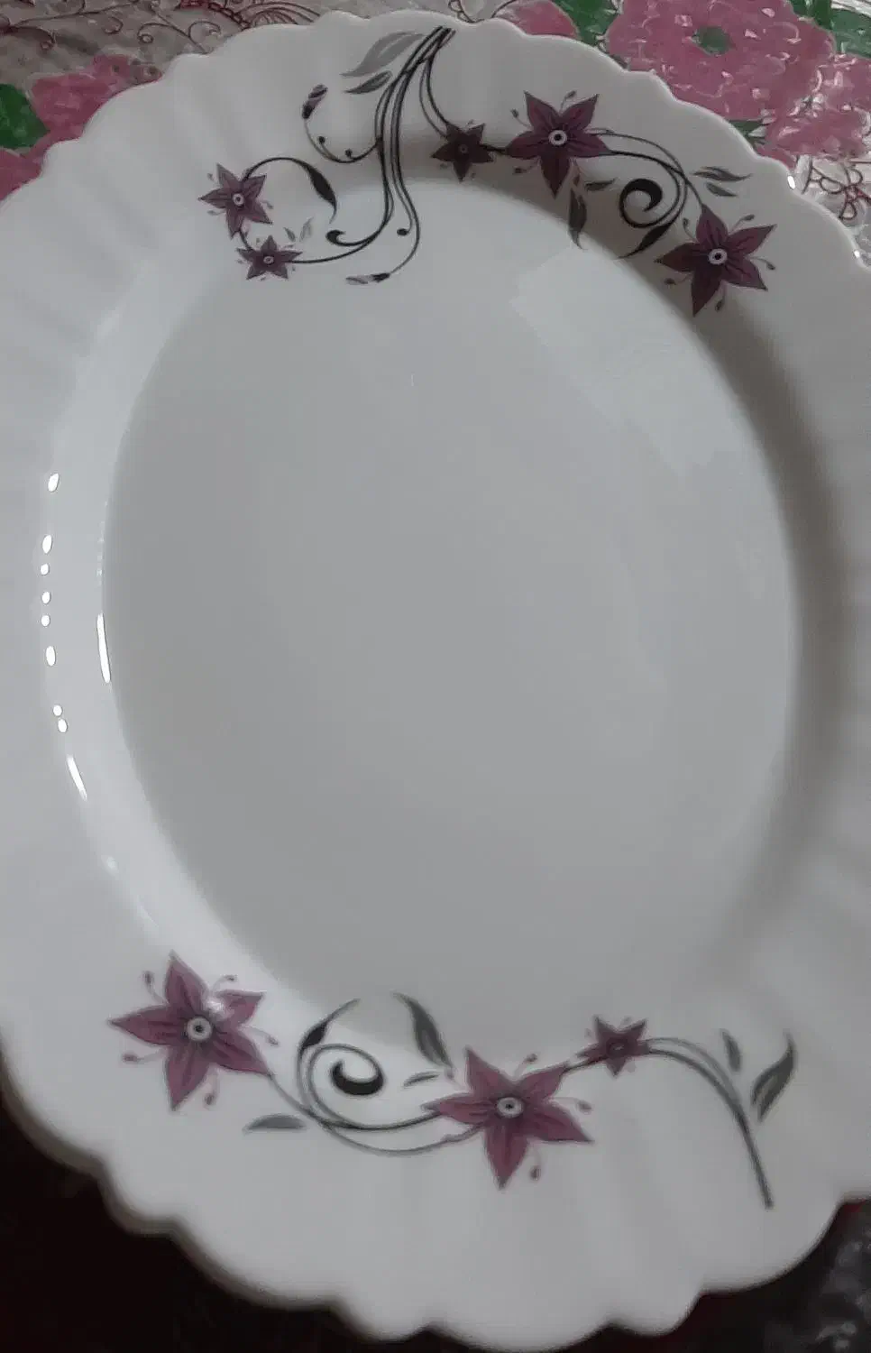 فروش ارکوپال|ظروف سرو و پذیرایی|دوگنبدان, |دیوار