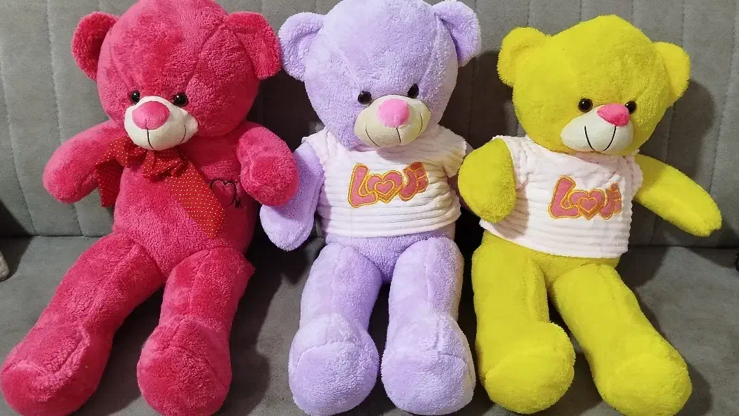 عروسک پولیشی خرس تدی|اسباببازی بچه|اسفراین, |دیوار