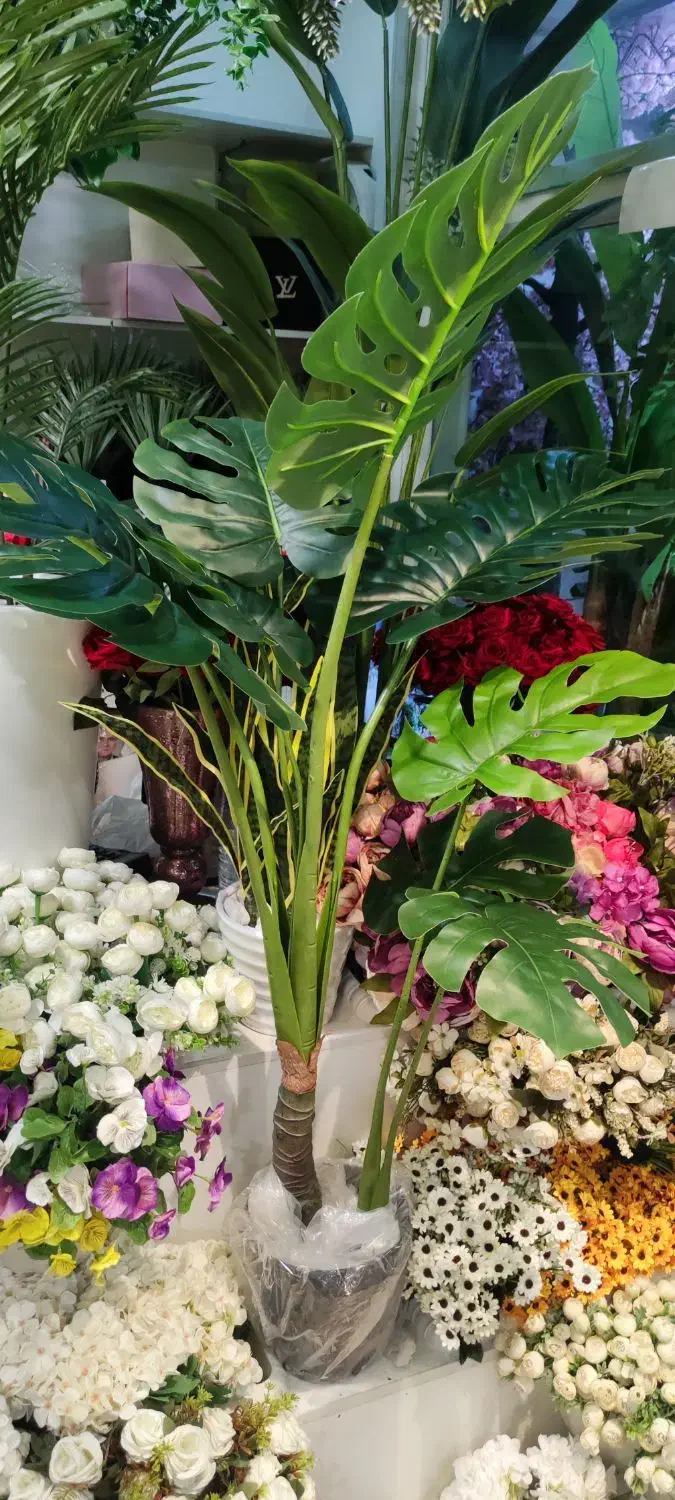 پخش درختان مصنوعی ابریشم|گل مصنوعی|قم, باجک یک|دیوار