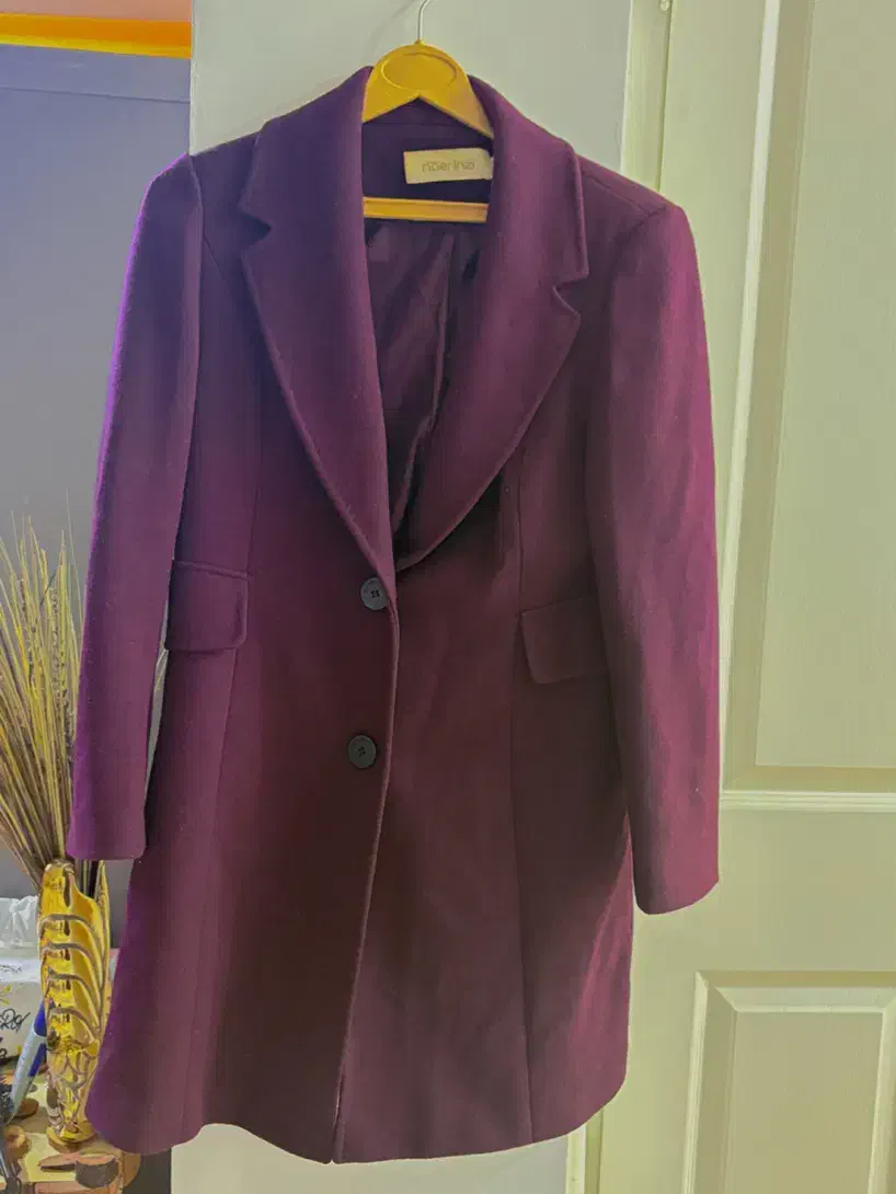 پالتو خارجی آستردار|لباس|بندر انزلی, معلم|دیوار