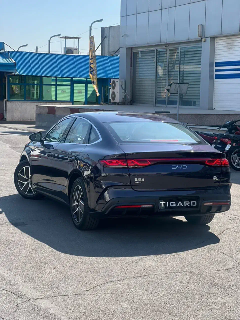 Qin L 2025|خودرو سواری و وانت|تهران, شهران شمالی|دیوار