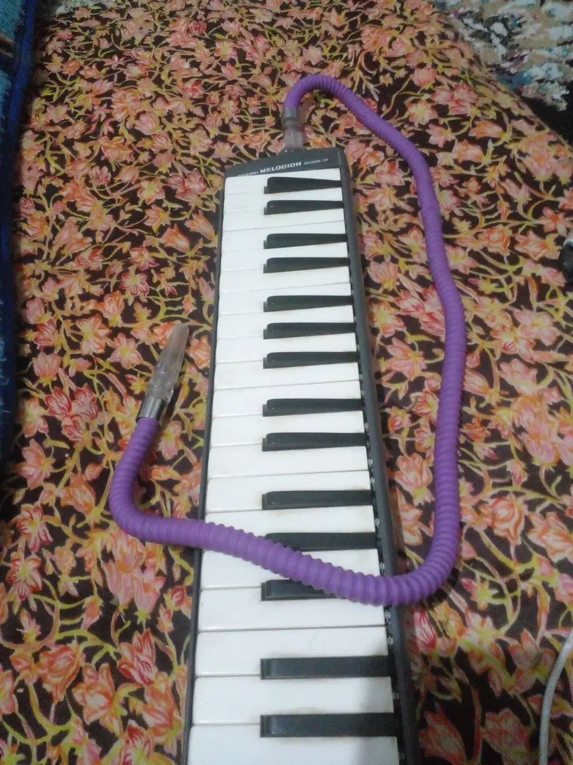 سازمولودیکامدل سوزوکی|پیانو، کیبورد، آکاردئون|آزادشهر, |دیوار