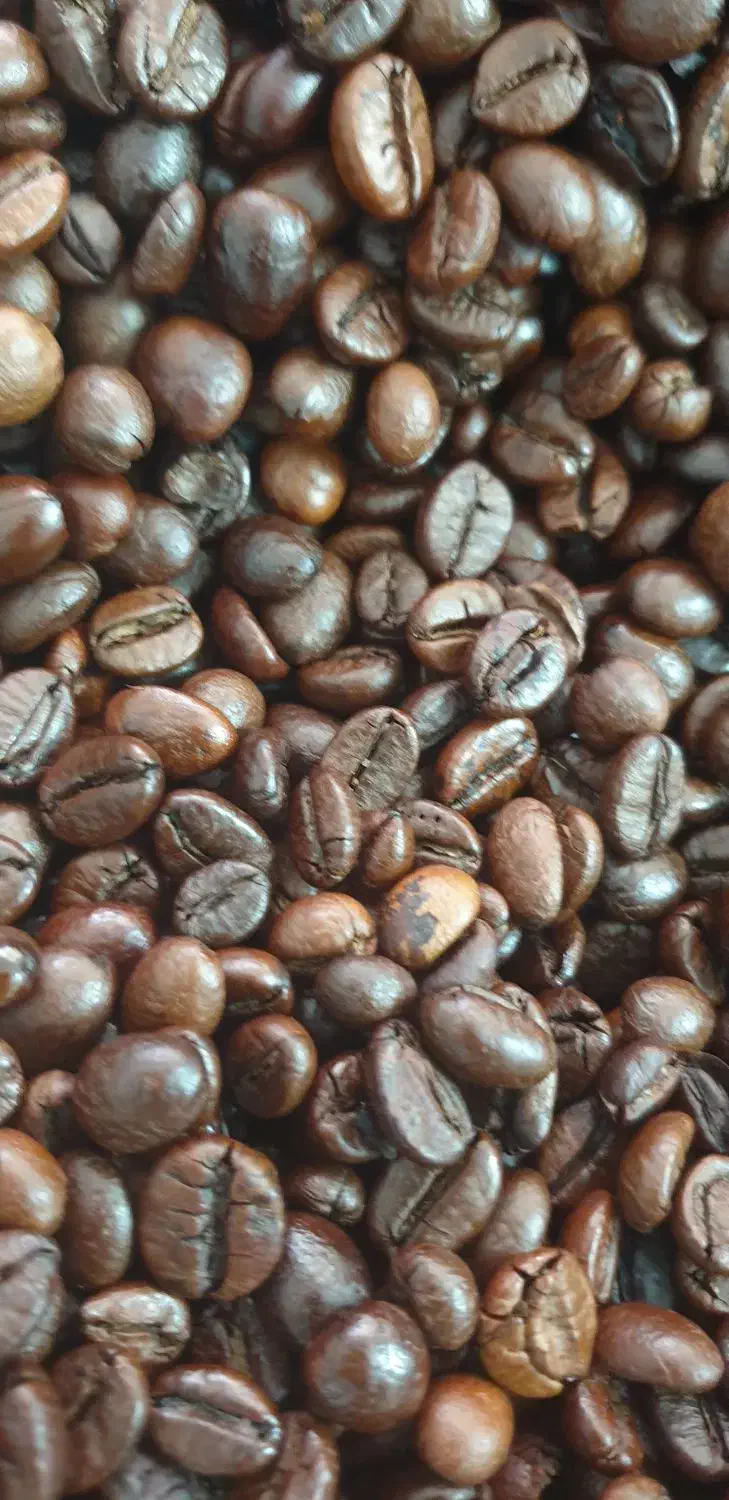 دان قهوه|عمدهفروشی|کرمان, |دیوار