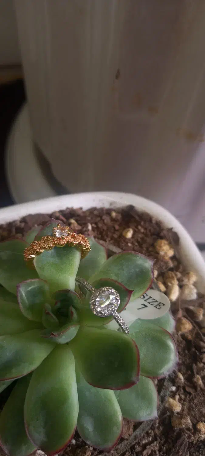 انگشتر های استیل زد آب|بدلیجات|شاهدشهر, |دیوار