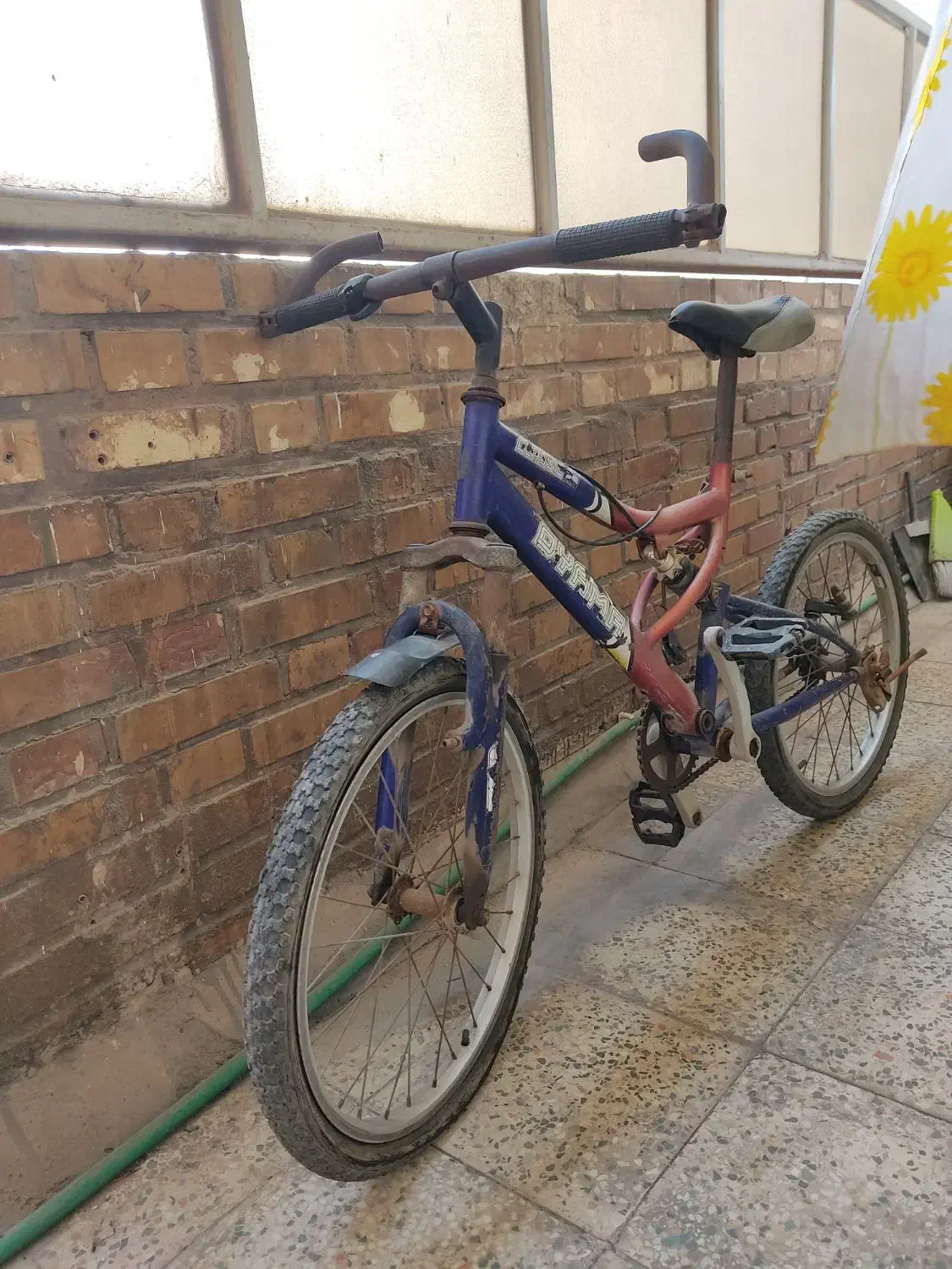 دوچرخه اصل اویاما ژاپن|دوچرخه، اسکیت، اسکوتر|اهواز, رسالت|دیوار