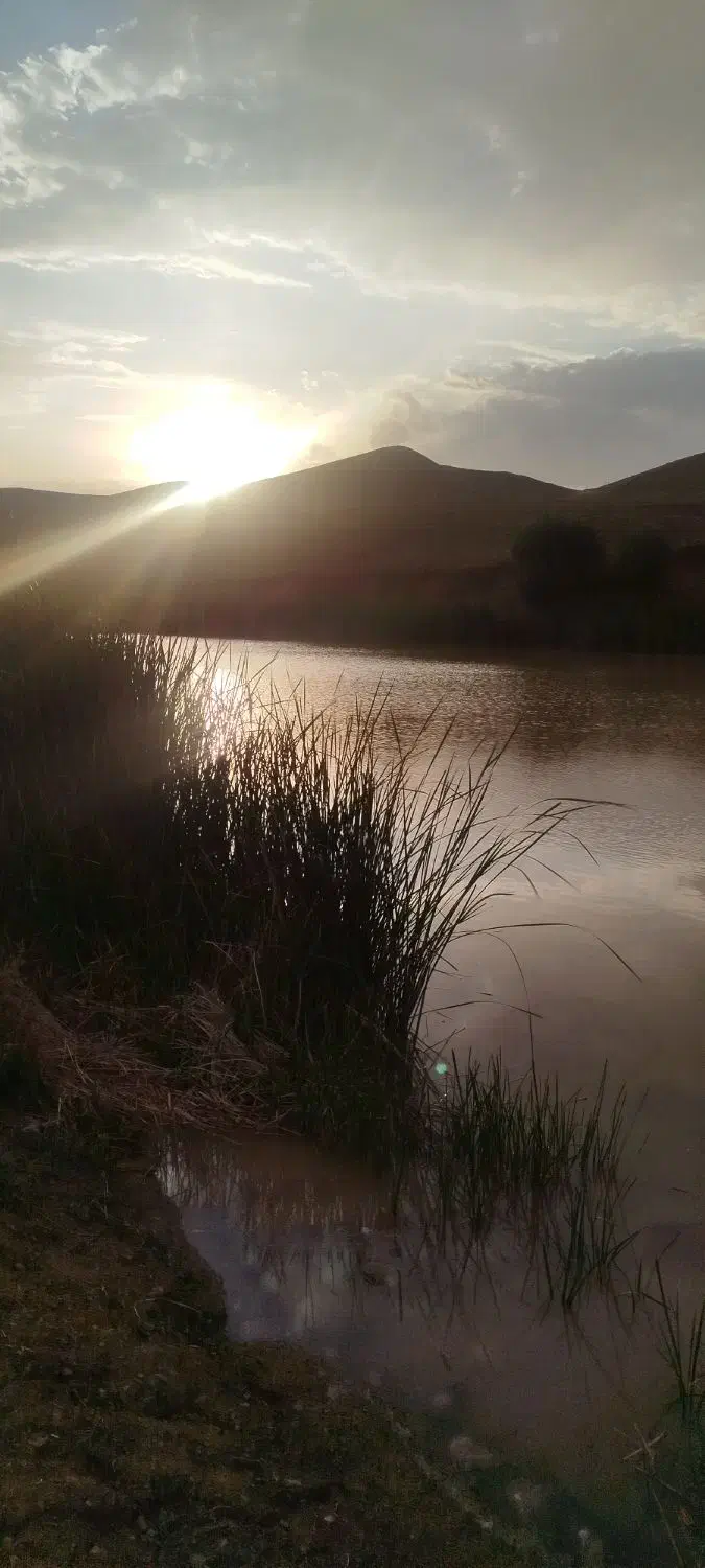 استخدام مدیر کارخانه صنعتی باتجربه|استخدام اداری و مدیریت|ایوانکی, |دیوار