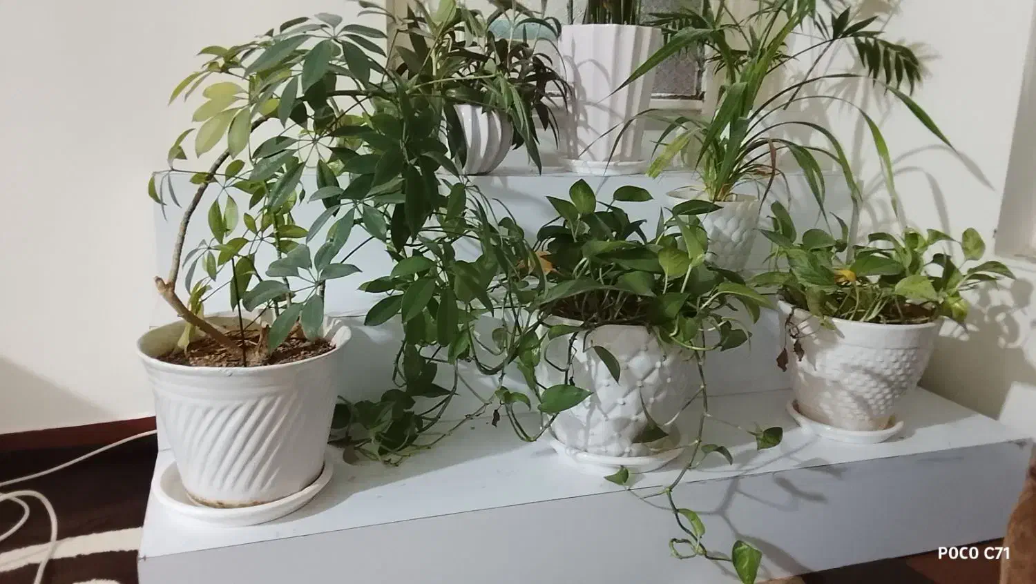 میز|میز تحریر و کامپیوتر|ایذه, |دیوار