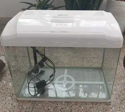 آکواریوم|ماهی|ایلام, |دیوار