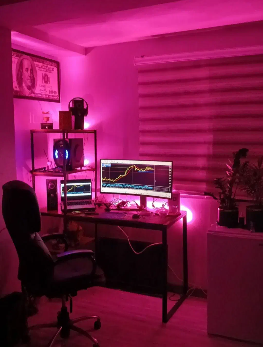 آموزش حرفه ای ترید فارکس ۱۰۰ درصد تضمینی|خدمات آموزشی|تهران, صادقیه|دیوار