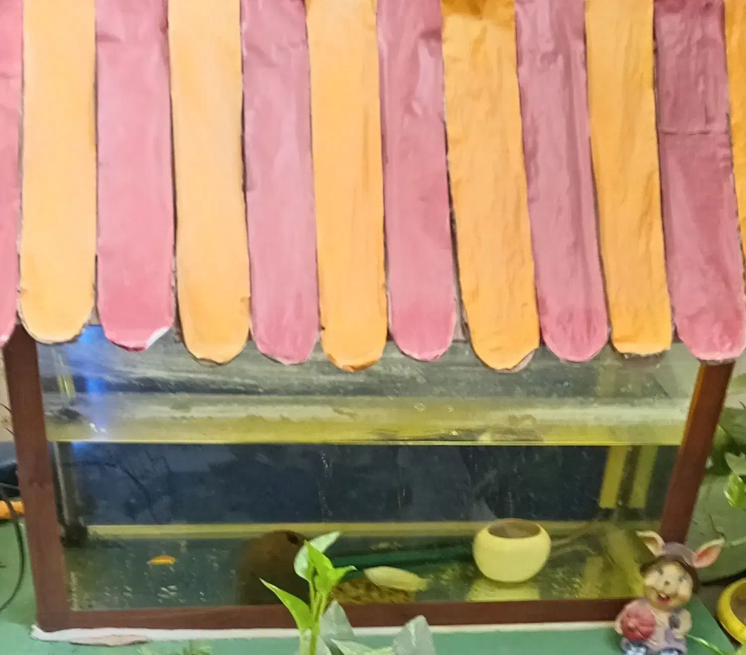 اکواریوم زیبا و سالم با وسایل|ماهی|نیشابور, مدرس|دیوار