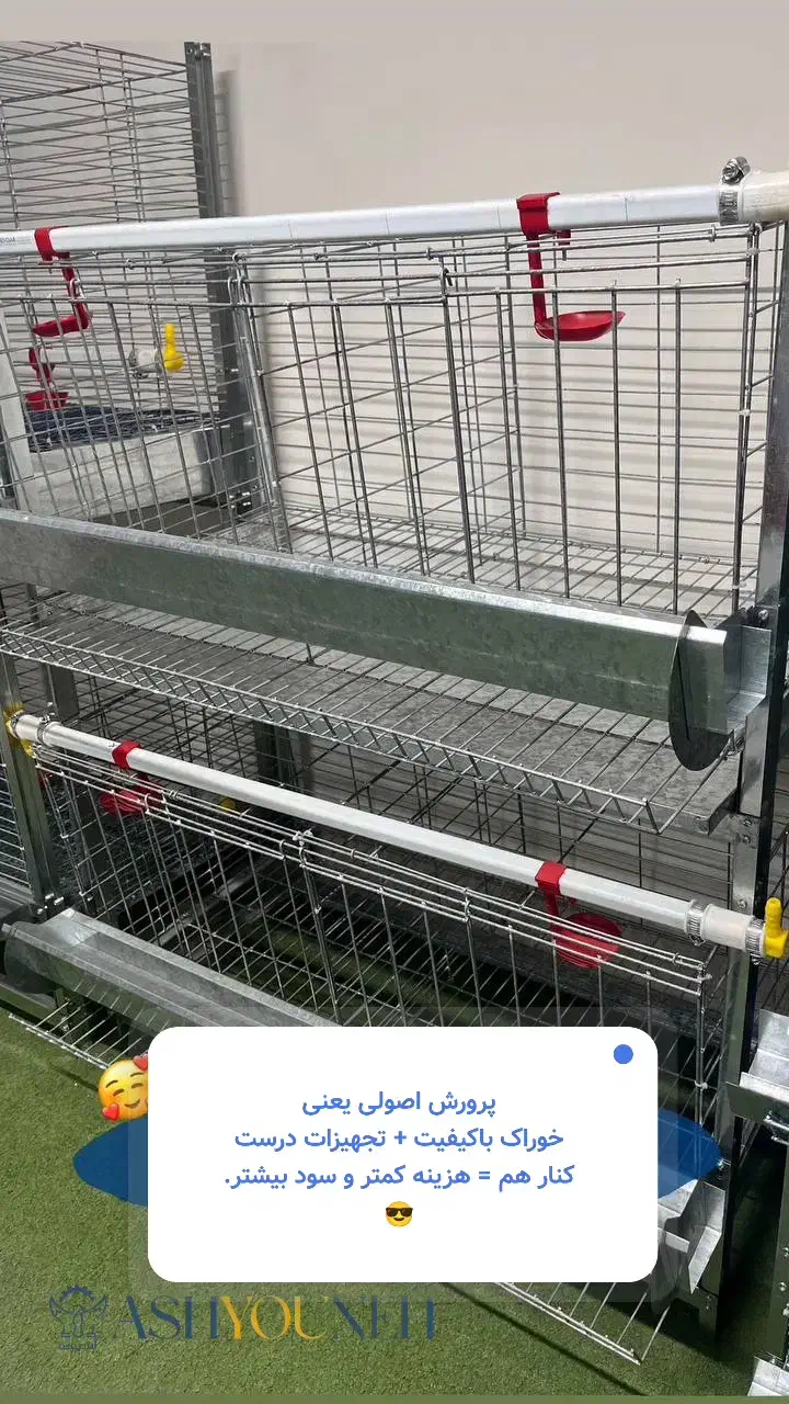 قفس پرورش مرغ و بلدرچین|لوازم جانبی حیوانات|تهران, مهرآباد|دیوار