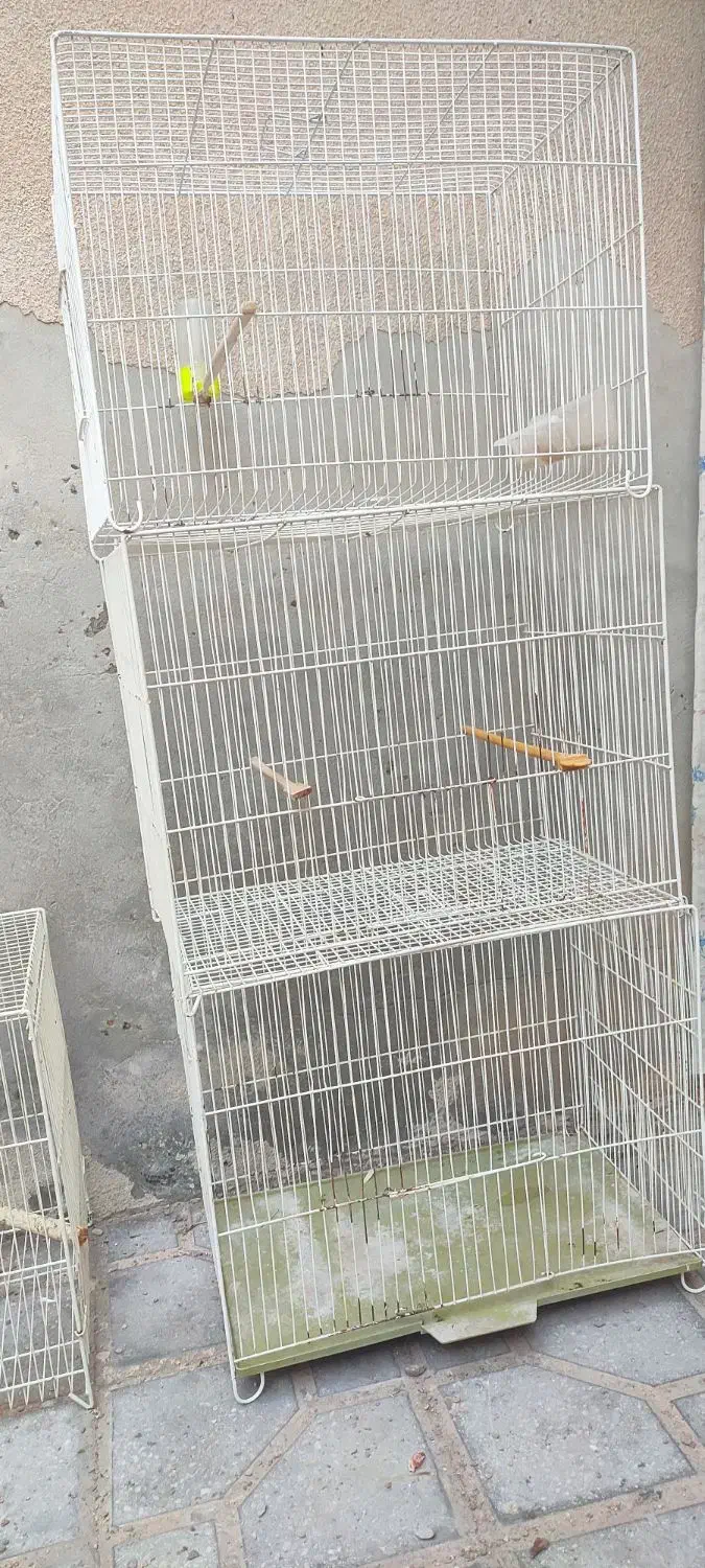 قفس پرنده مناسب قناری عروس هلندی و..|لوازم جانبی حیوانات|فردوس (خراسان), |دیوار