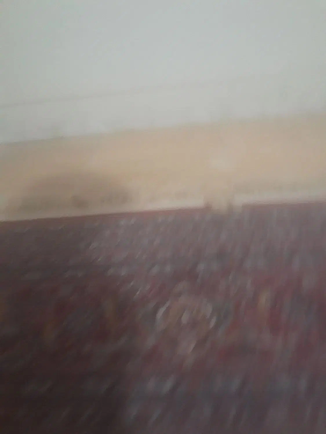 رهن واجاره|اجارهٔ آپارتمان|کوهدشت, |دیوار