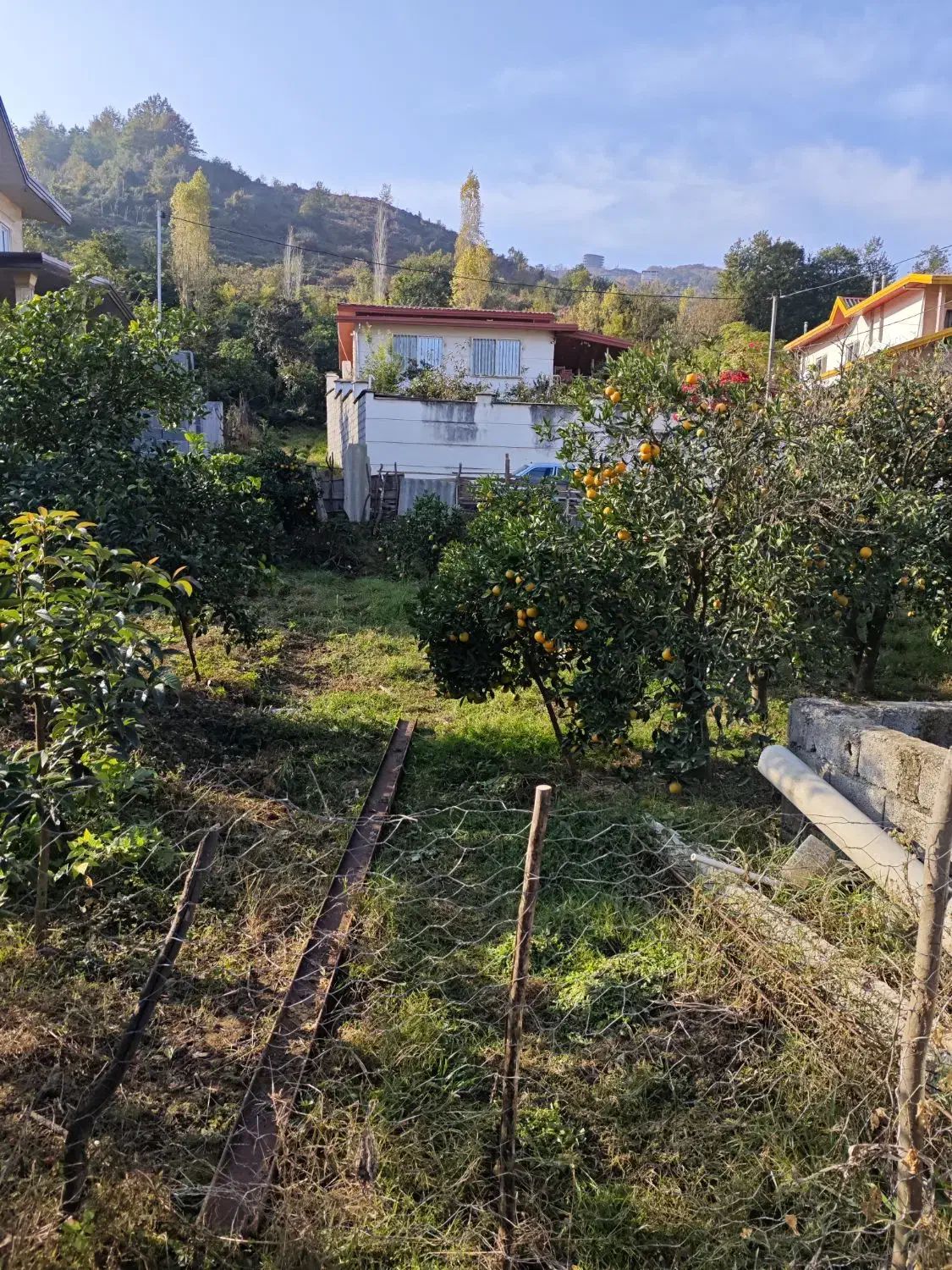 فروش زمین|فروش زمین و ملک کلنگی|کتالم و سادات شهر, |دیوار