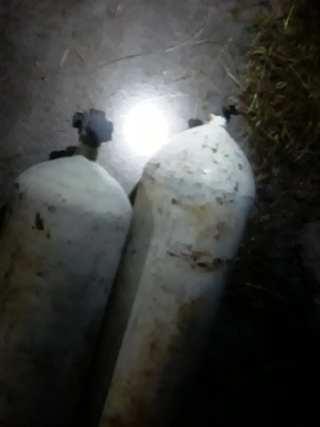 دوتا مخزن گاز پیکان|قطعات یدکی و لوازم جانبی|سراب, |دیوار