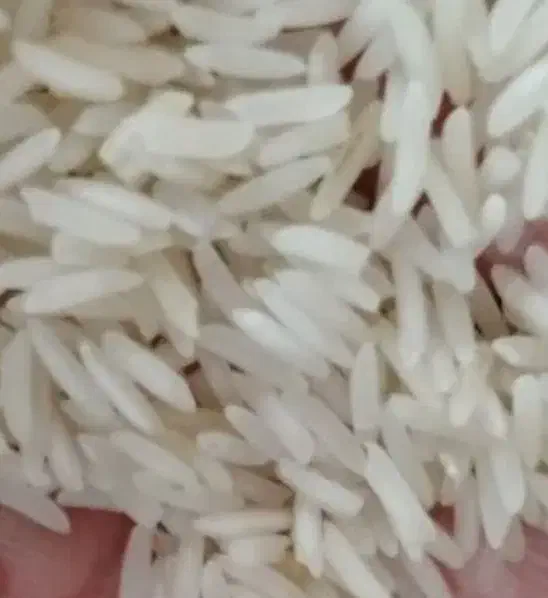 برنج طارم محلی|خوردنی و آشامیدنی|قم, تعویض پلاک|دیوار