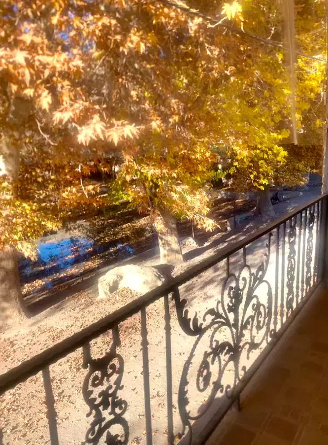 یه تیکه از بهشت تو دل طبیعت|اجارهٔ کوتاهمدت ویلا و باغ|سبزوار, ایزی شهر|دیوار