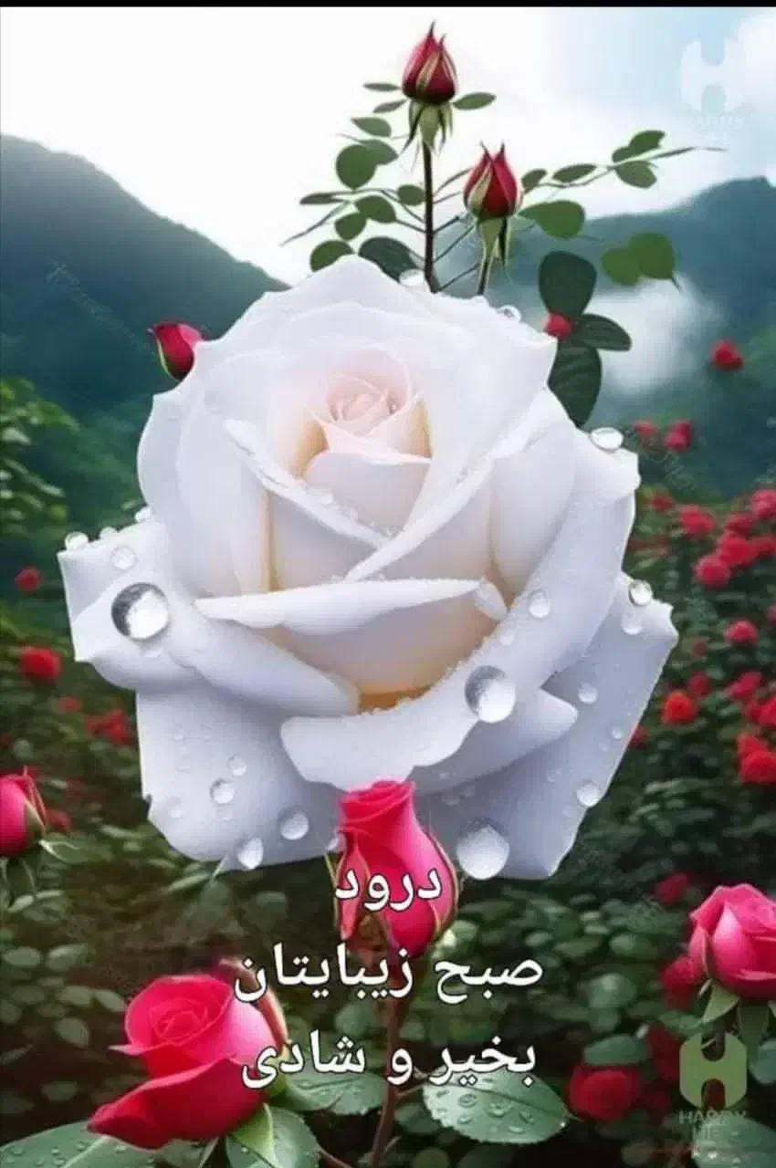 پرستار تمام وقت|استخدام درمانی، زیبایی، بهداشتی|خوانسار, |دیوار