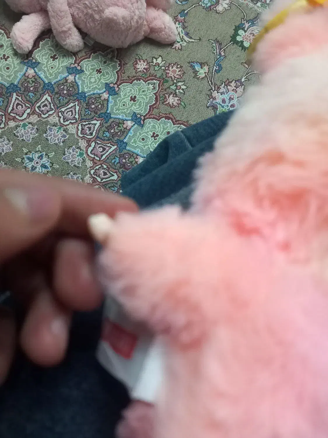 لبوبو اصل|اسباب‌‌بازی|فرخ‌شهر, |دیوار