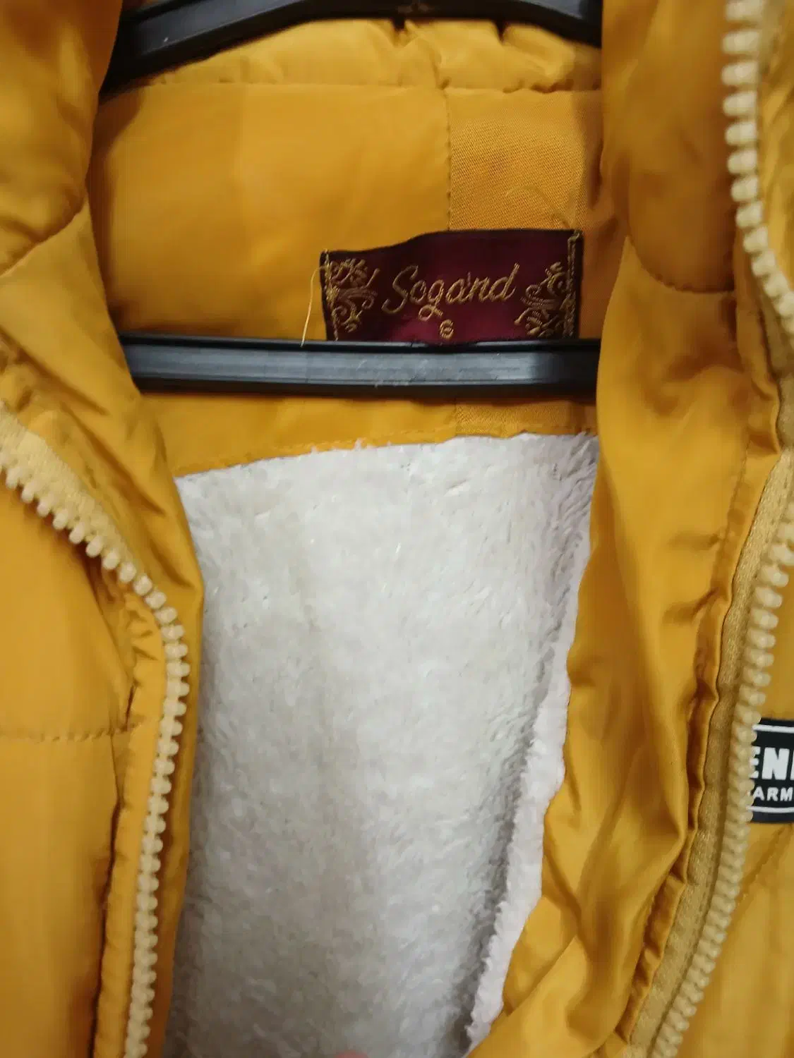 کافشن و پالتو زنانه و بچگانه (ارزان)|لباس|تربتحیدریه, مسجد جامع|دیوار